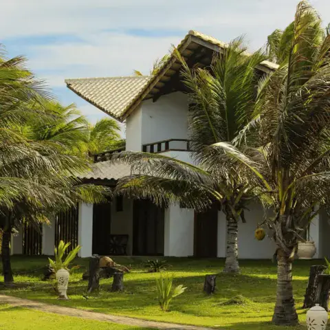 Maison blanche entourée de palmiers et de pelouse