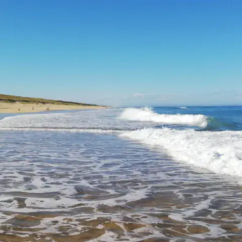 Plage et vagues de la côte landaise