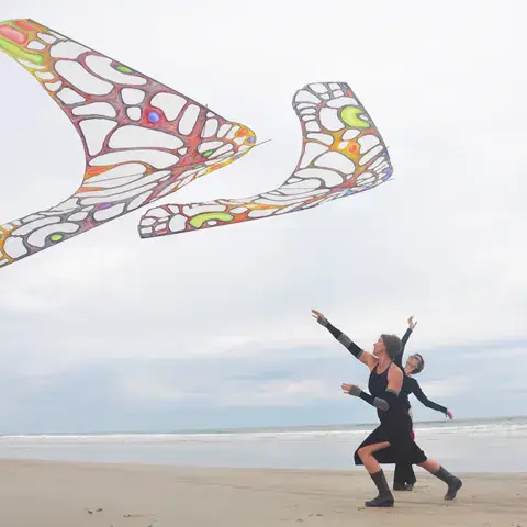 Cerfs-volants d'art WindFire déployés sur la plage