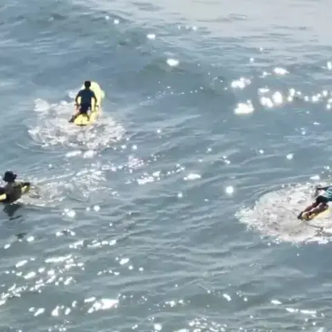 Vue aérienne de surfeurs dans l'eau