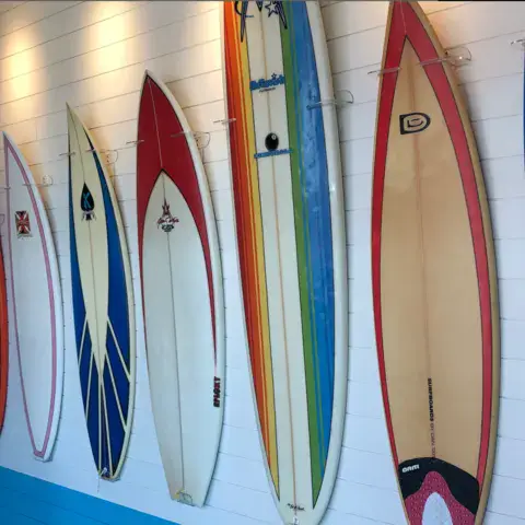 Planches de surf alignées au mur du magasin
