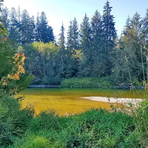 Rivière bordée de forêt, près de la propriété