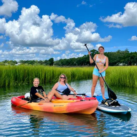 Sortie en kayak et en paddle dans les marais