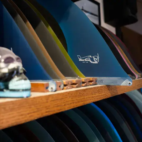 Rayon d'ailerons
