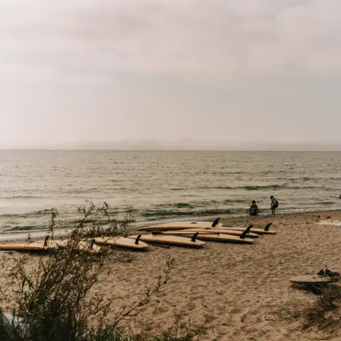 Planches alignées sur la plage