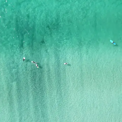 Vue aérienne de surfeurs dans une eau claire