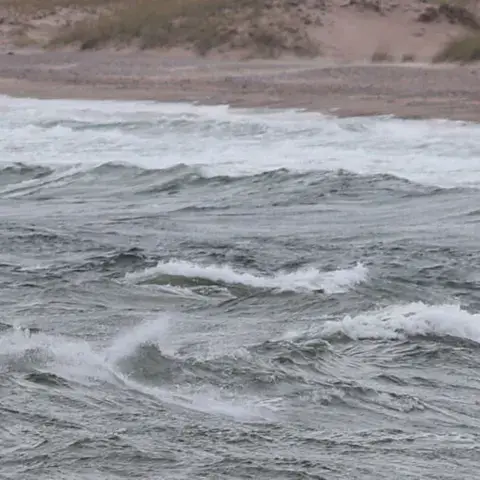 Planche à voile dans les vagues, le long d'une plage