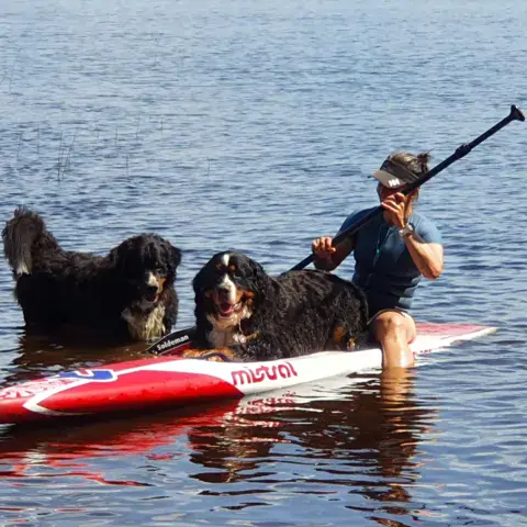 Stand up paddle avec deux chiens à bord
