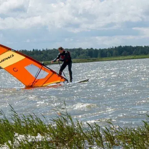 Véliplanchiste sur le lac, près des roseaux