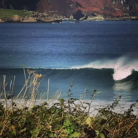 Une vague qui déferle devant la côte