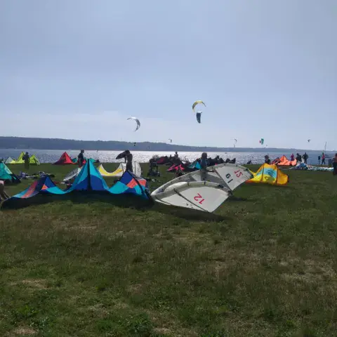 Des ailes étalées sur l'herbe au bord de la mer