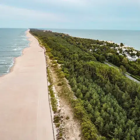 Vue aérienne de la plage bordée de forêt