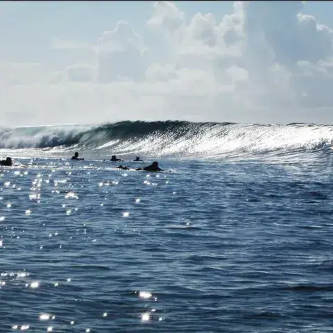 Vague qui déferle avec des surfeurs à l'attente