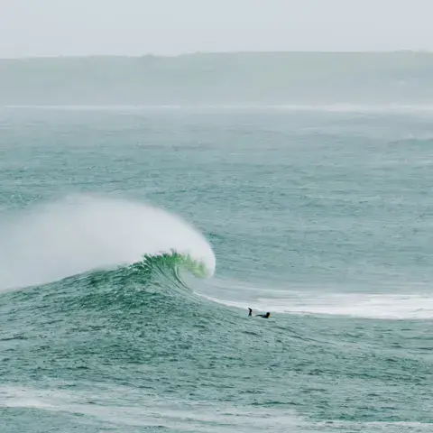 Vague déferlante et surfeur au large