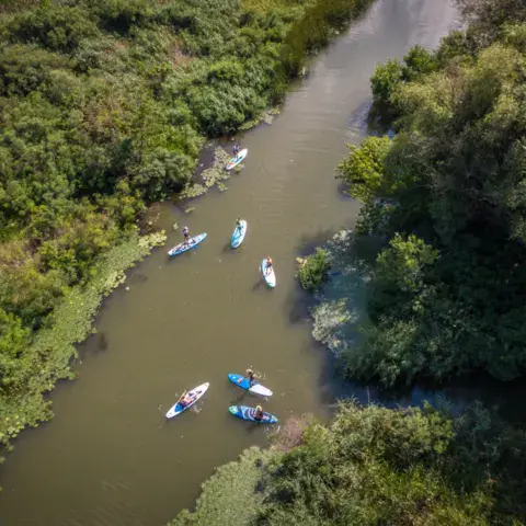 Sortie de stand up paddle en groupe sur un bras de rivière