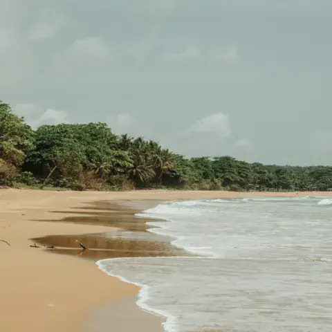 La plage de Busua bordée de palmiers