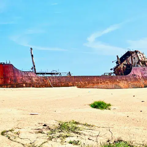 Épave échouée sur la plage, but de la randonnée dans la jungle