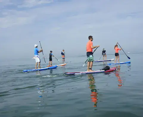 Sortie en paddle sur une mer calme