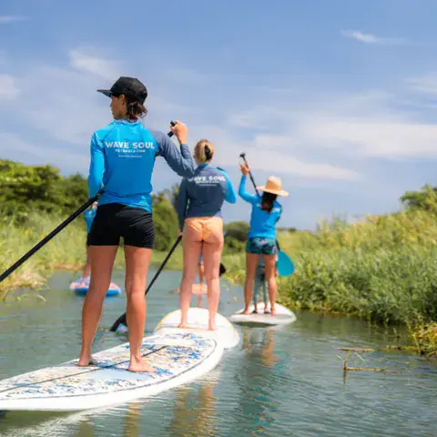 Sortie en paddle sur une rivière bordée de roseaux