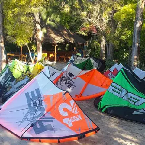 Kites étalés sur le sable sous les arbres