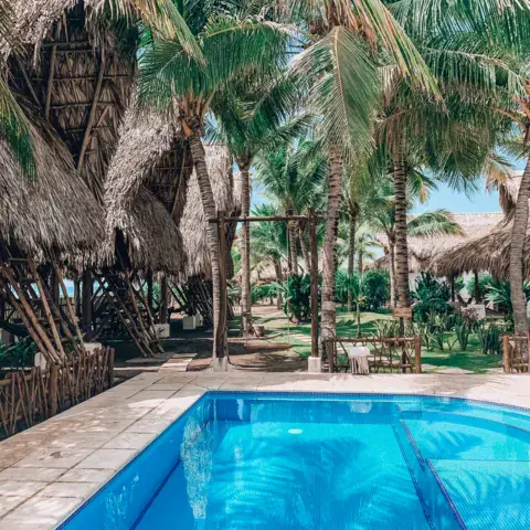 Piscine entourée de palmiers