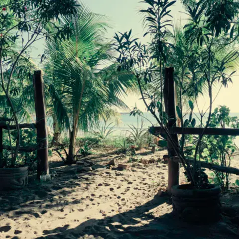 Sentier de sable et végétation près du lodge