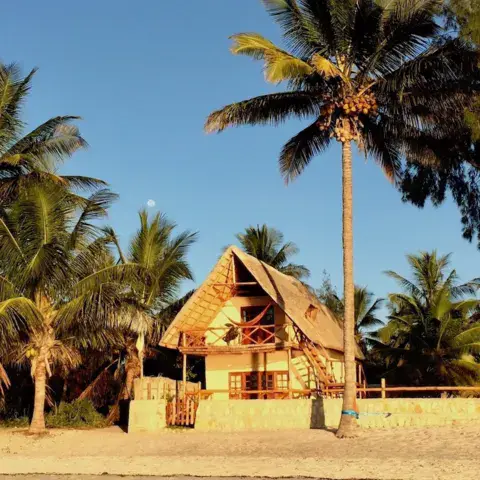 Maison de plage entre les palmiers