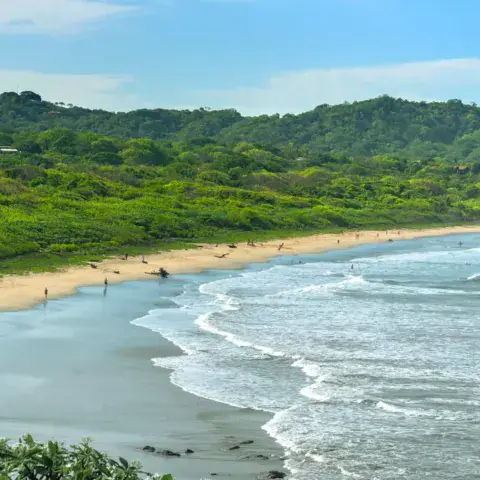 Plage bordée de forêt avec des vagues qui déferlent