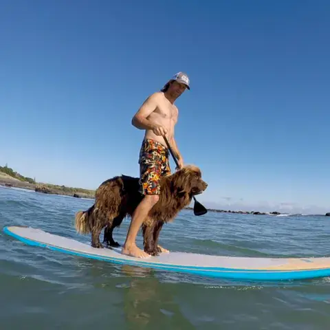 Homme debout sur une planche de paddle avec son chien