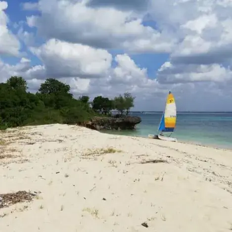 Voilier au large d'une plage de sable