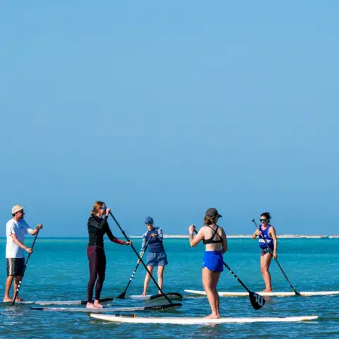 Séance de paddle sur la lagune