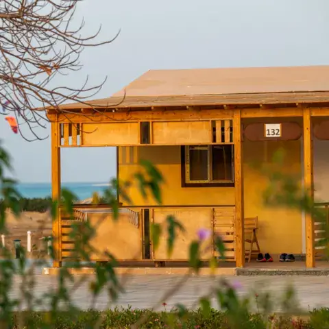Petite maison en bois entourée de verdure
