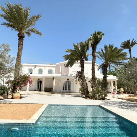 Villa blanche avec piscine et palmiers