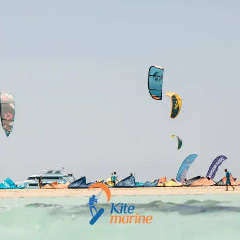 Ailes de kite et matériel étalé sur la plage