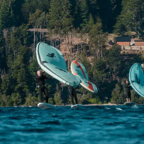 Planches de foil sorties de l'eau au bord du lac
