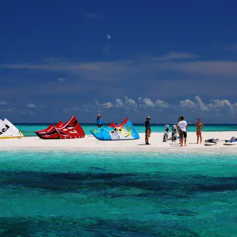 Kites posés sur un banc de sable au large du Queensland