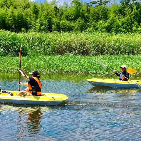 Sortie en kayak sur une rivière
