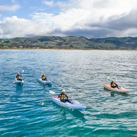 Sortie en kayak de mer le long de la côte