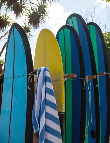 Planches de surf alignées