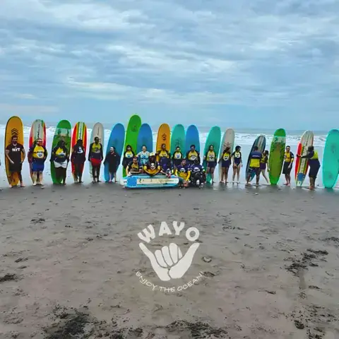 Planches de surf alignées sur la plage