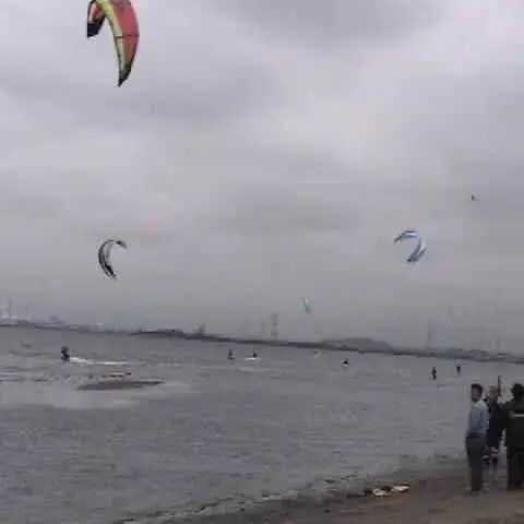 Kitesurfeurs en action au large d'une plage
