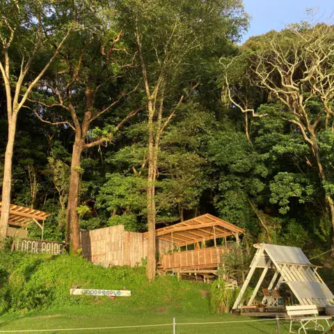 Le terrain de la base, au bord du lac, sous les arbres