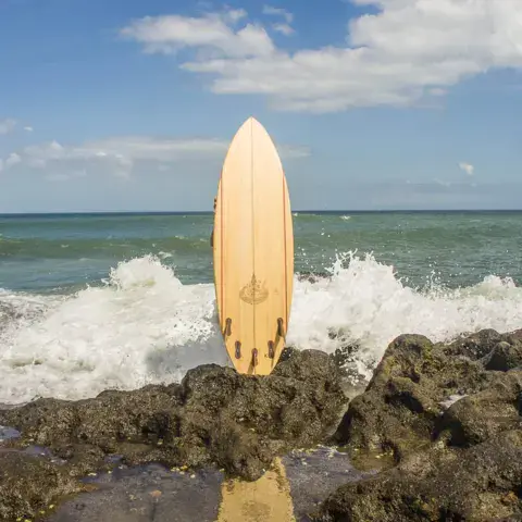 Planche en balsa dressée sur des rochers face à la mer