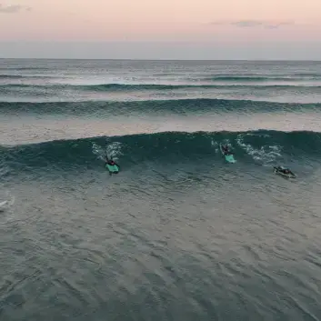 Vue aérienne de surfeurs dans les vagues