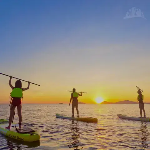 Sortie en paddle au coucher du soleil