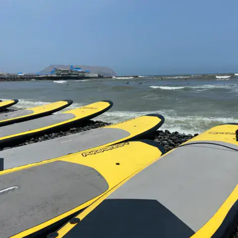 Planches de surf alignées sur les galets en bord de mer