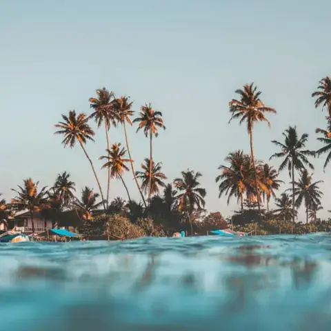 La baie de Weligama et ses cocotiers