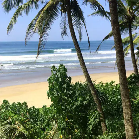 Plage de sable et palmiers face à l'océan Indien