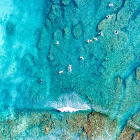 Surfeurs en attente de vagues au-dessus du récif, vue aérienne