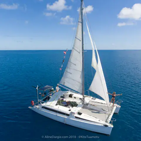 Le catamaran à la voile en pleine mer